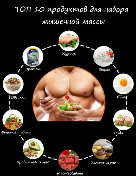 Питание для набора мышечной массы для мужчин: основные правила диеты, список продуктов